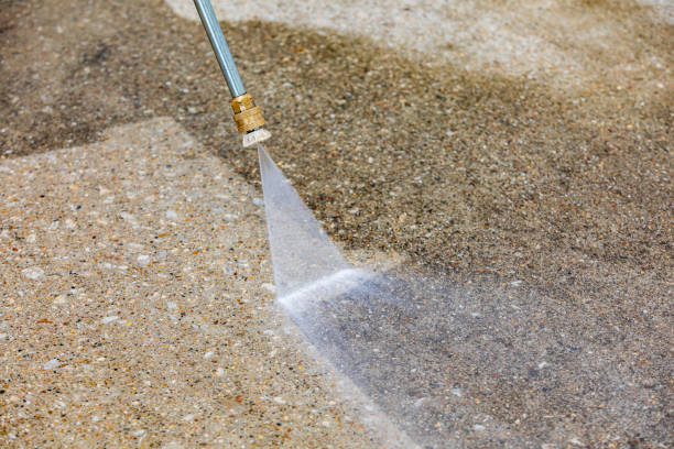 Best Pre-Holiday Cleaning  in Harrison, TN