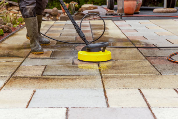 Best Animal Enclosure Cleaning  in Harrison, TN